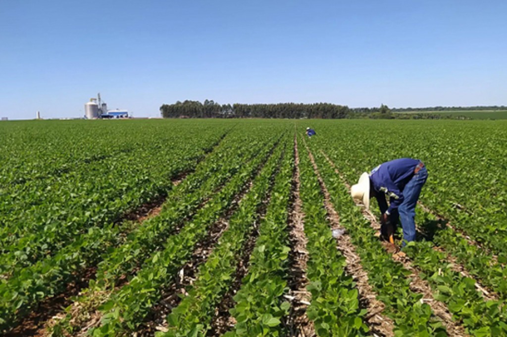 Goiás recebe injeção de R$ 65 Milhões em investimentos agropecuários