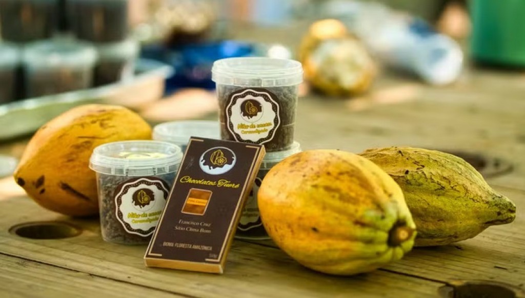 Produtores de cacau do Pará conquistam o mundo com chocolates finos