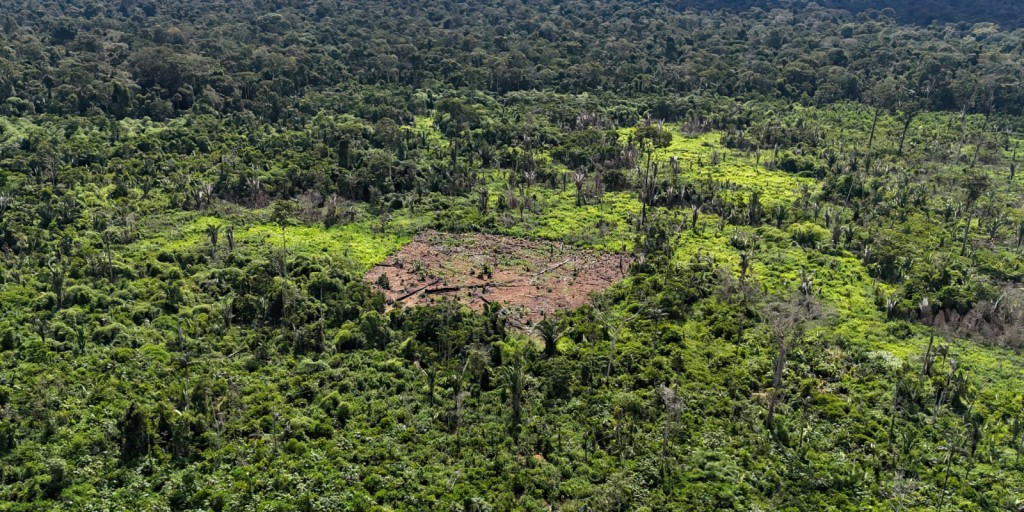 Indígenas karipuna denunciam aumento de invasores em sua terra