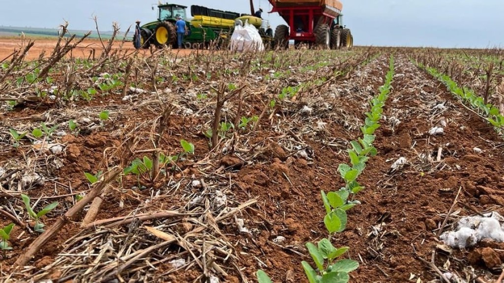 Prazo para cadastrar áreas de plantio de soja termina nesta quarta