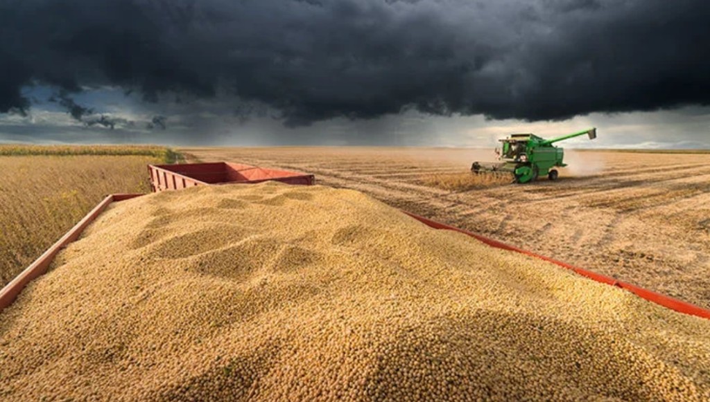 Aprosoja alerta possível crise financeira entre produtores de soja