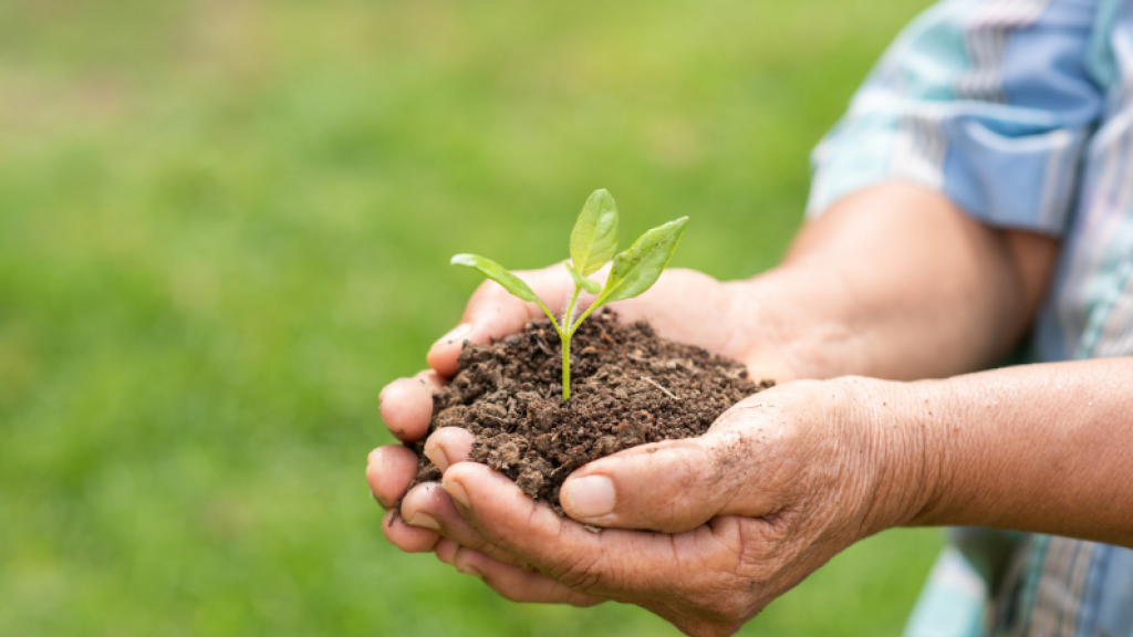 Produtos biológicos estão transformando a agricultura brasileira