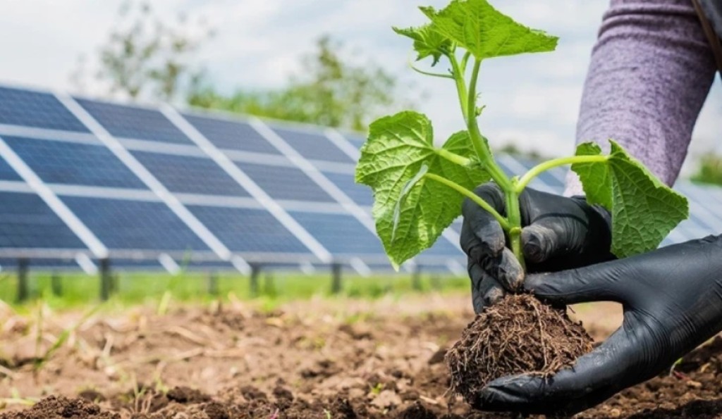 Agronegócio responde por 15% da energia solar produzida no Brasil