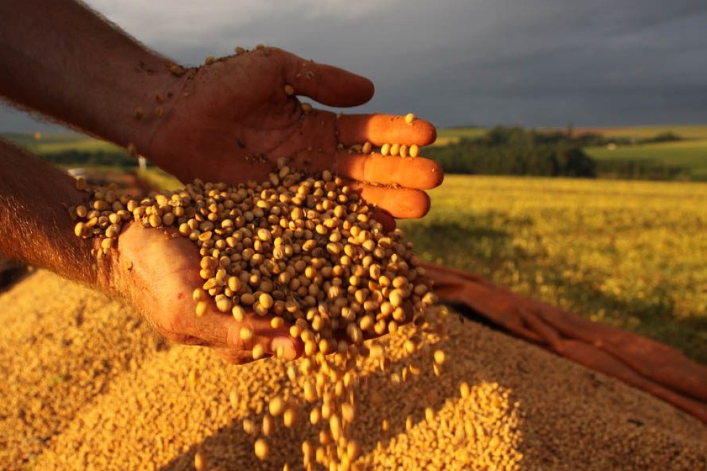 Colheita da soja em todo País chega a 38% e está acima da média