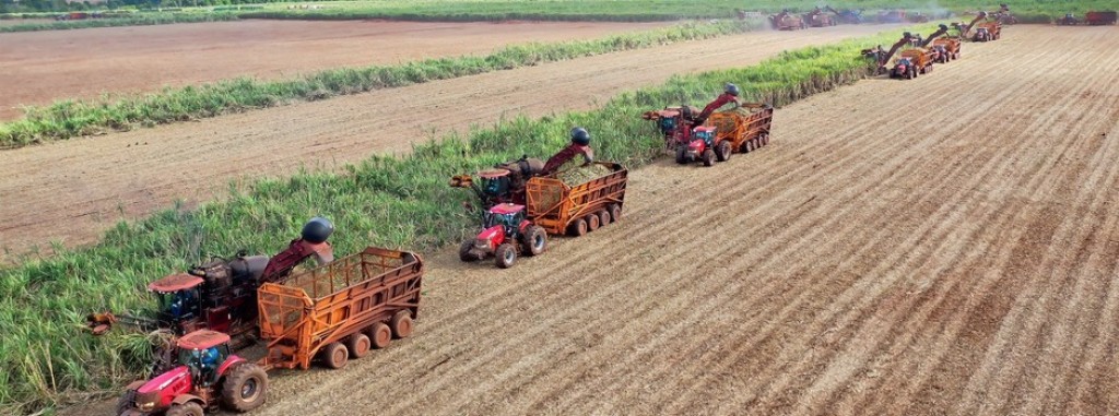 Minas Gerais bate recorde na geração de empregos com a safra de Cana-de-açúcar