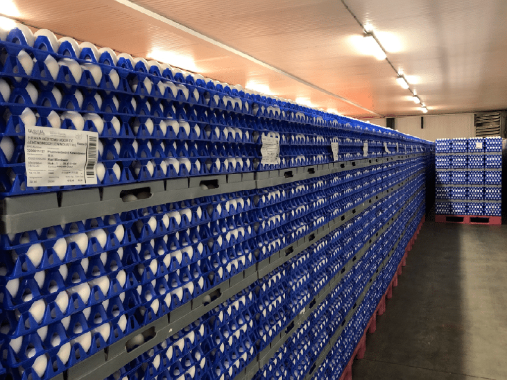Emirados Árabes ajudam o Brasil a bater recorde na venda de ovos