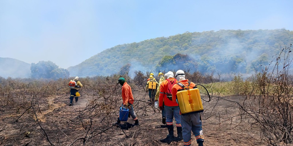 Incêndio no Pantanal está controlado, diz Instituto Homem Pantaneiro