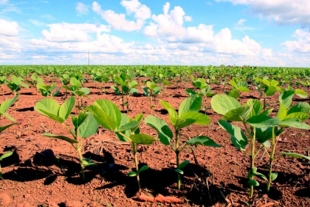 Governo cria linha de crédito emergencial para o Nordeste e o norte de Minas Gerais