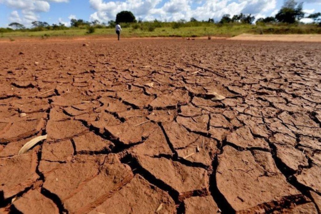 Pesquisa internacional avalia maior seca dos últimos 40 anos na Amazônia