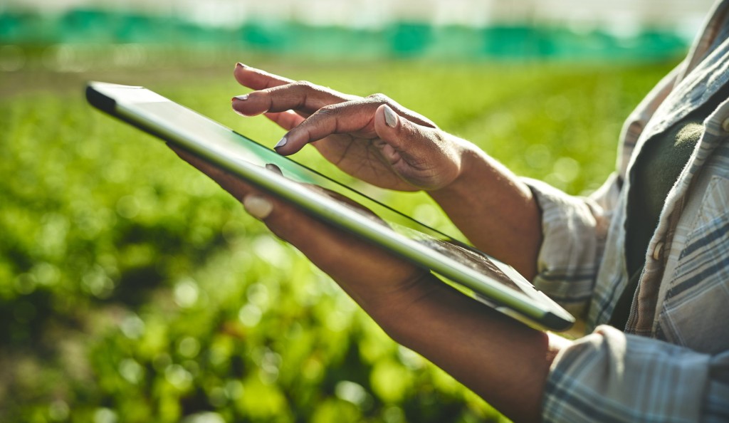 Conectividade no campo: 5G promete revolucionar o agronegócio