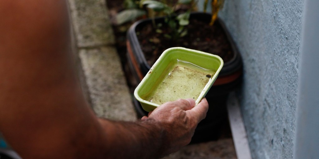 Professores de SP cobram medidas de combate à dengue nas escolas