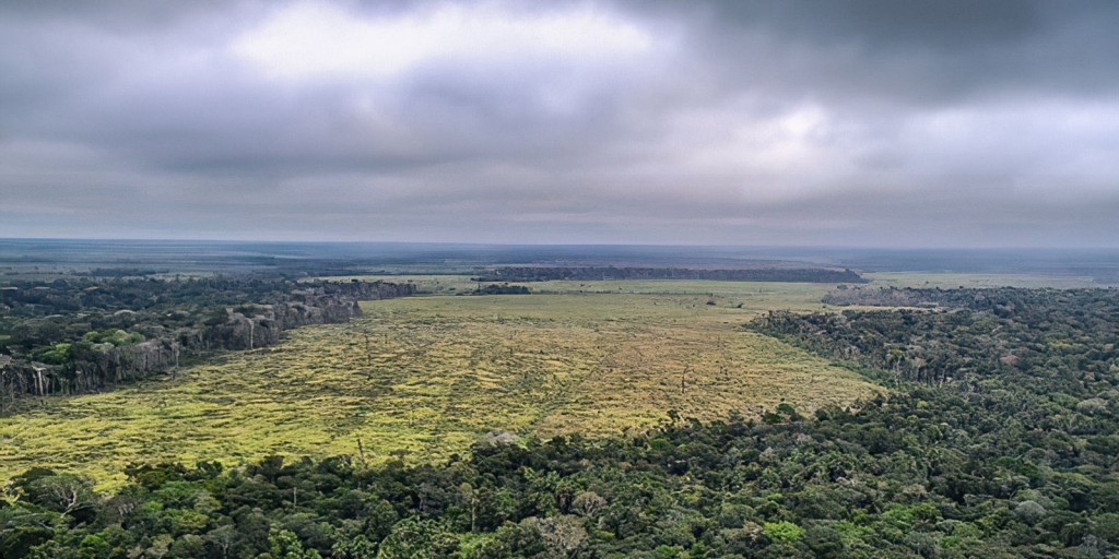 Desmatamento na Amazônia cai 60% em janeiro deste ano