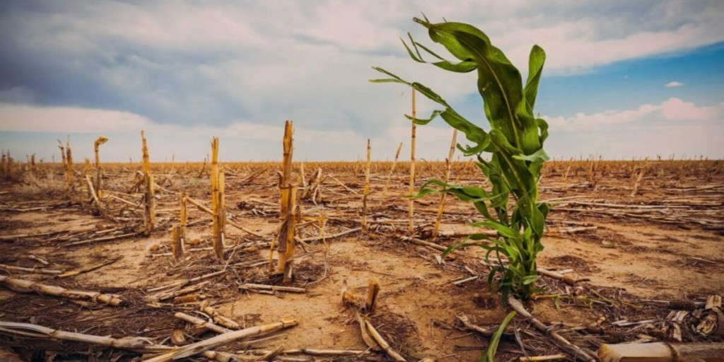 CNA pede medidas emergenciais ao Mapa, em apoio aos produtores afetados por adversidades climáticas