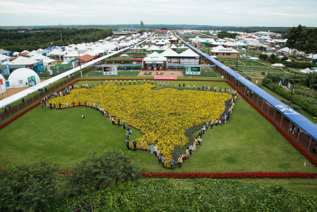 Show Rural Coopavel começa segunda-feira, 5