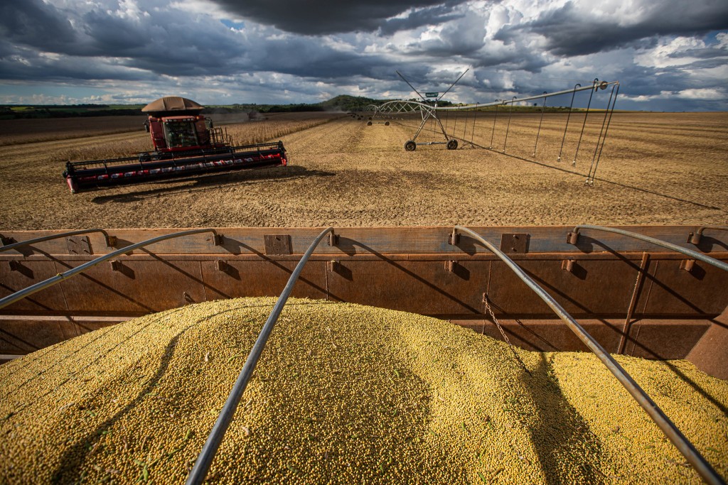 Goiás deve ter redução de 15% no potencial produtivo