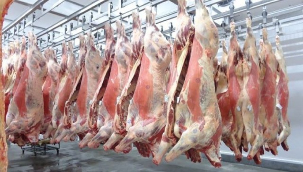 Exportações de carne bovina do Brasil registram alta histórica no primeiro bimestre de 2024