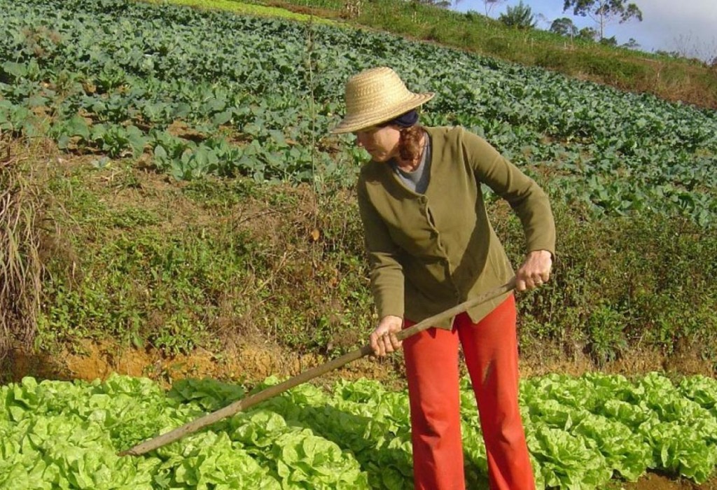 Mato Grosso abre inscrições para o Projeto Maria Terra