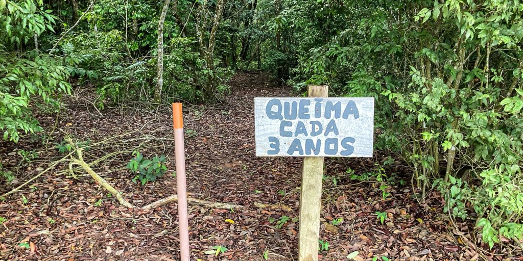 Laboratório a céu aberto permite pesquisas sobre queimadas