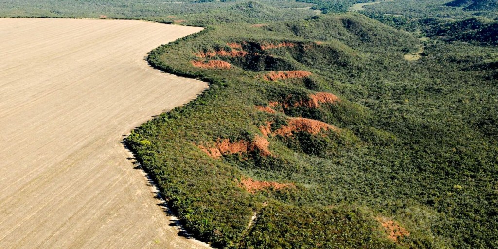 Cerrado tem alta de 19% de alertas de desmatamento em fevereiro