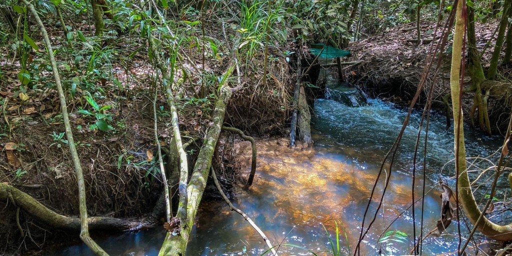 Pesquisa de longo prazo aponta impacto ambiental da agricultura